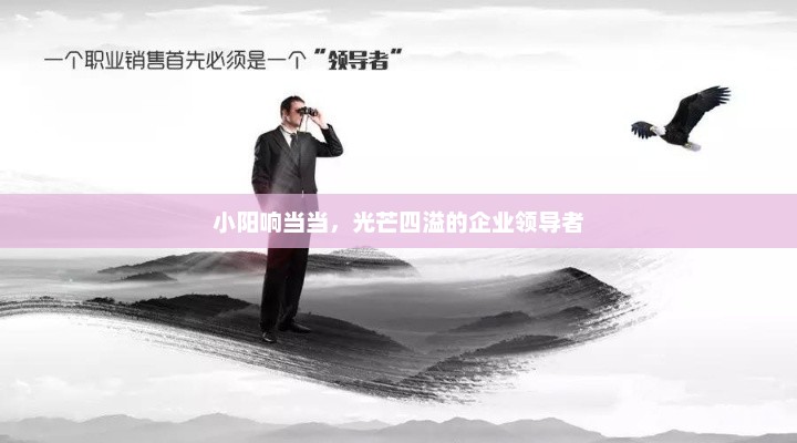小阳响当当，光芒四溢的企业领导者，小阳，企业领袖光芒四溢