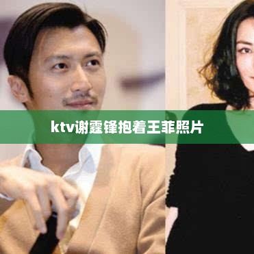 ktv谢霆锋抱着王菲照片，KTV照片事件，谢霆锋抱王菲照片引热议