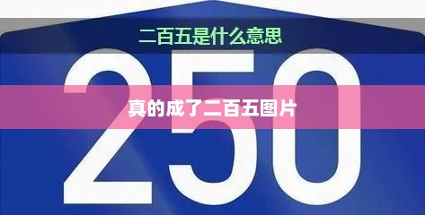 真的成了二百五图片，成为二百五的瞬间，生活中的小确幸
