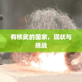 有核武的国家，现状与挑战，核武国家现状与挑战