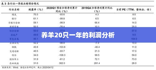 养羊20只一年的利润分析，养羊20只一年利润分析，效益与收益探讨