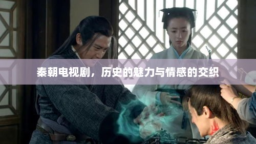 秦朝电视剧，历史的魅力与情感的交织