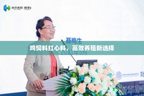 鸡饲料红心料，高效养殖新选择，养殖业革新，红心饲料引领高效养殖新篇章