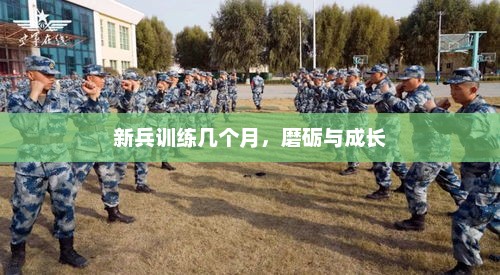 新兵训练几个月，磨砺与成长，新兵训练三个月，磨砺与成长的旅程