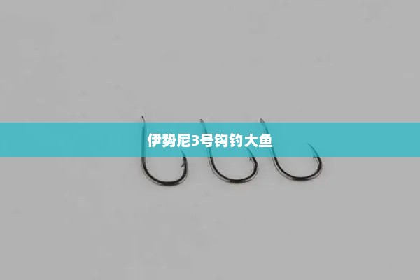 伊势尼3号钩钓大鱼，伊势尼3号钩钓大鱼实战技巧