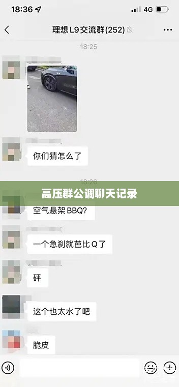 高压群公调聊天记录，高压群公调实时对话