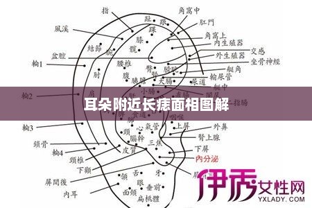 耳朵附近长痣面相图解，耳朵附近长痣的面相图解