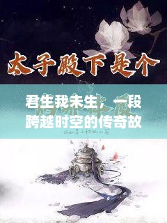 君生我未生，一段跨越时空的传奇故事，时空传奇，君生我未生