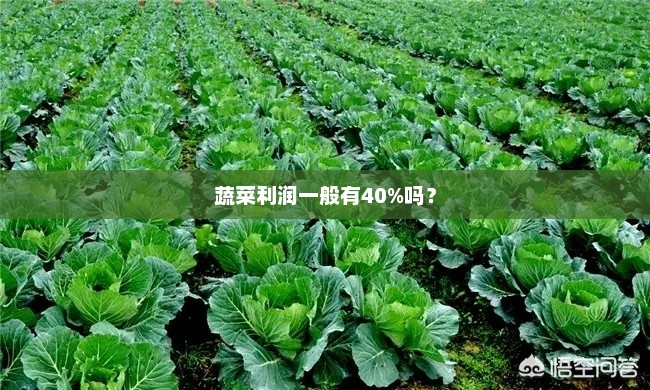 蔬菜利润一般有40%吗？蔬菜利润情况分析