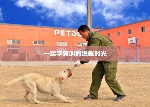 一起学狗叫的温馨时光，温馨时光，狗狗与主人的默契互动