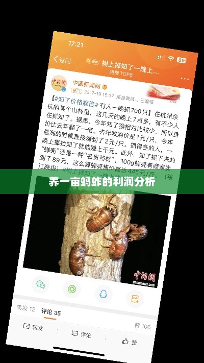 养一亩蚂蚱的利润分析，蚂蚱养殖利润分析