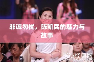 非诚勿扰，陈凯民的魅力与故事，陈凯民，非诚勿扰的魅力与故事
