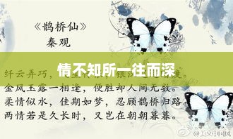 情不知所一往而深，深情难自禁，一往情深的故事