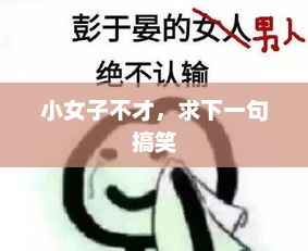 小女子不才，求下一句搞笑，妙语连珠笑语间，小女子才思横溢