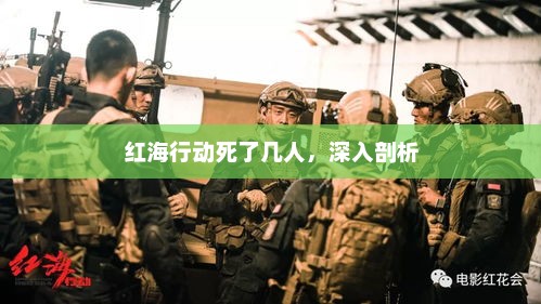 红海行动死了几人，深入剖析，红海行动死亡人数深度解析