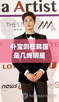 朴宝剑在韩国是几线明星