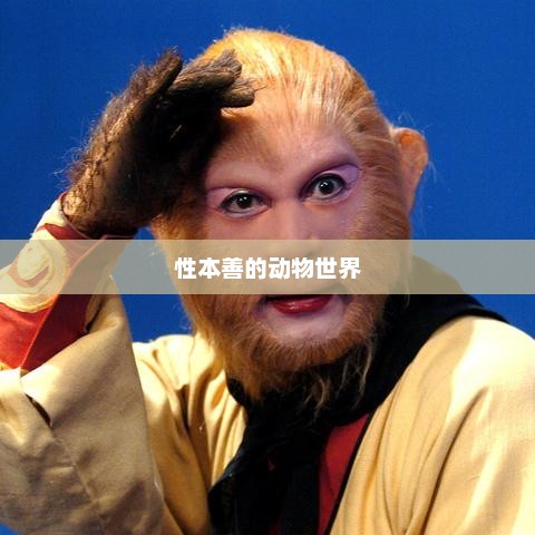 性本善的动物世界，动物世界的善性与和谐共生