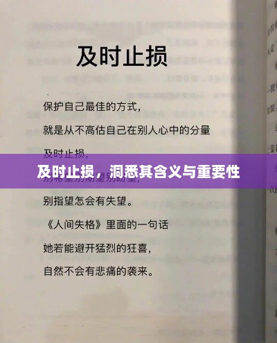及时止损，洞悉其含义与重要性，及时止损，理解并重视其含义与重要性