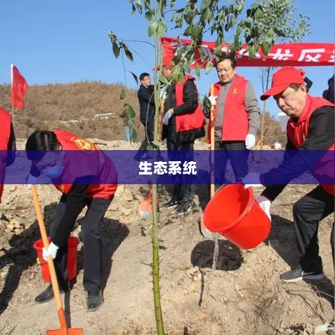 树苗龟，微小生命揭示生态守护的启示