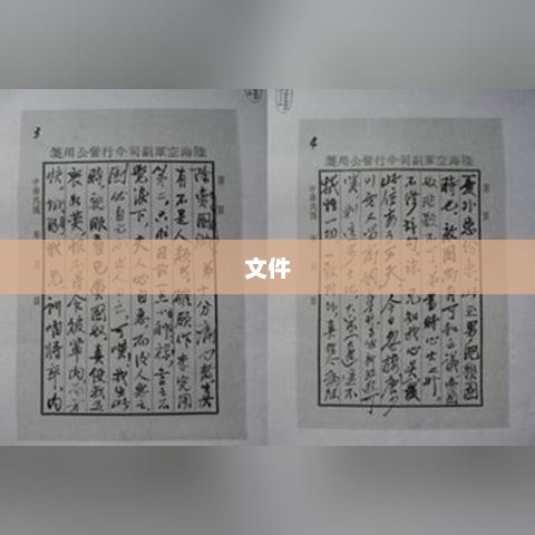 Python代码执行全过程详解，从编写到运行