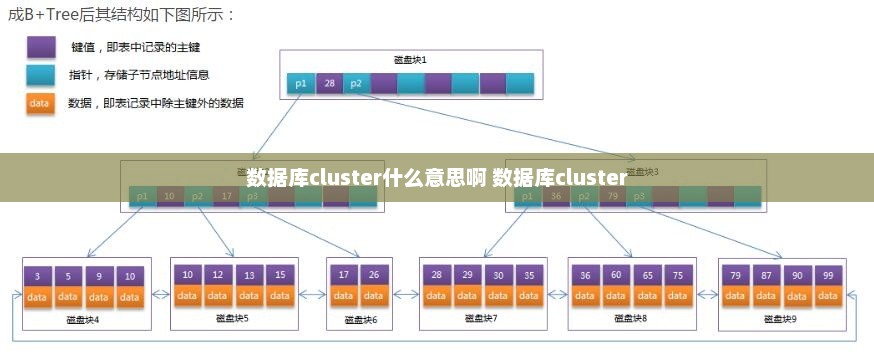 数据库集群（Database Cluster）深度解析与概念解析
