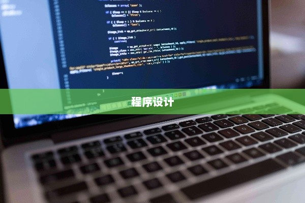 VB程序设计详解，四步教程与代码例题解析指南