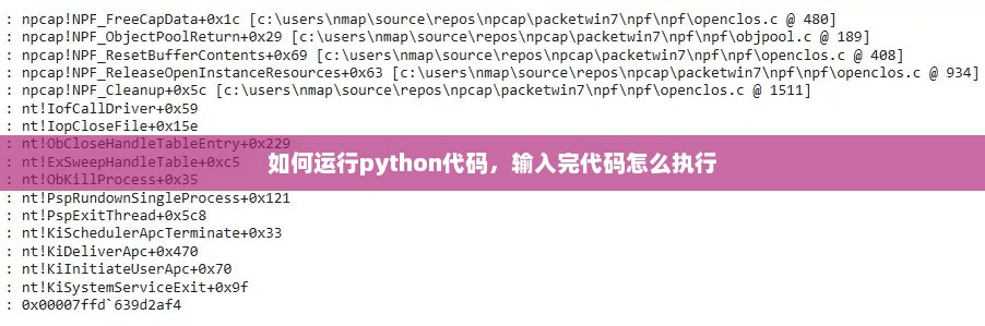 Python代码执行全过程详解，从编写到运行