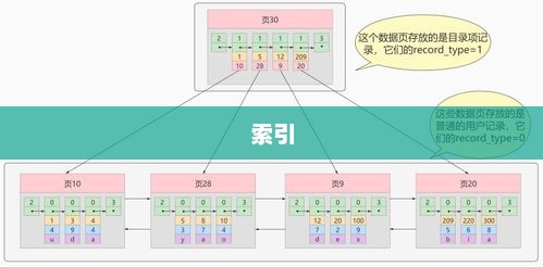 数据库集群（Database Cluster）深度解析与概念解析