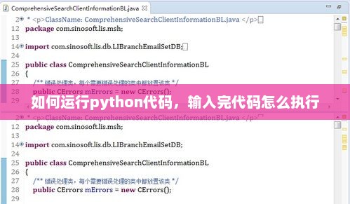 Python代码执行全过程详解，从编写到运行