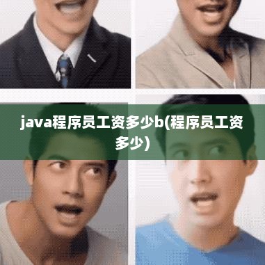 java程序员工资多少b(程序员工资多少)