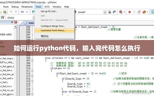 Python代码执行全过程详解，从编写到运行