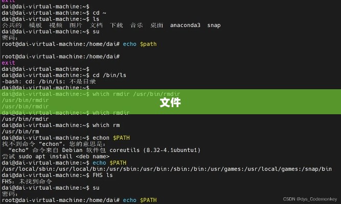 Python代码执行全过程详解，从编写到运行
