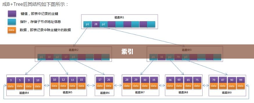 数据库集群（Database Cluster）深度解析与概念解析