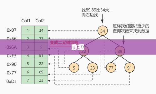 数据库集群（Database Cluster）深度解析与概念解析