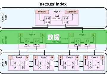 数据库集群（Database Cluster）深度解析与概念解析