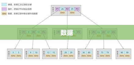 数据库cluster什么意思啊 数据库cluster