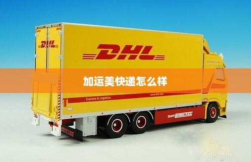 全球速递体验，从中国到美国的包裹之旅