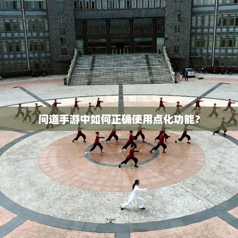 问道手游中如何正确使用点化功能？