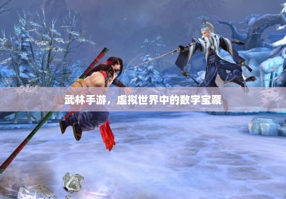 武林手游，探索虚拟世界的数字宝藏之旅