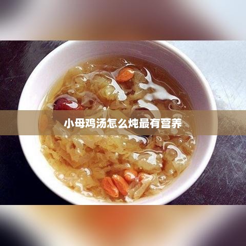 小母鸡汤怎么炖最有营养 小母鸡汤怎么炖最有营养