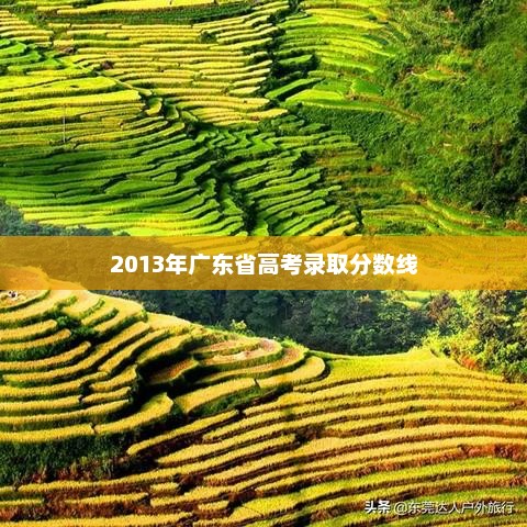 2013年广东高考录取分数线汇总与分析