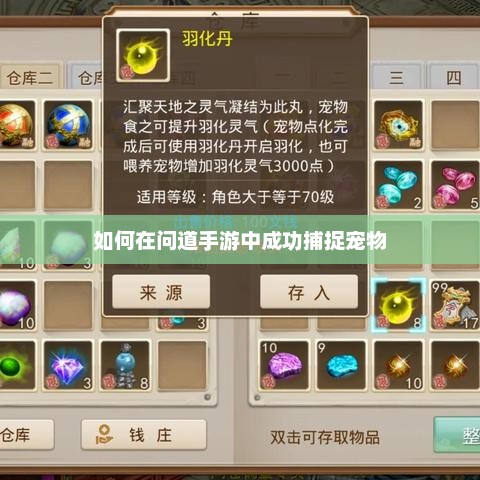 问道手游宠物捕捉技巧大揭秘