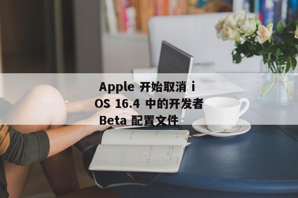  Apple 开始取消 iOS 16.4 中的开发者 Beta 配置文件 