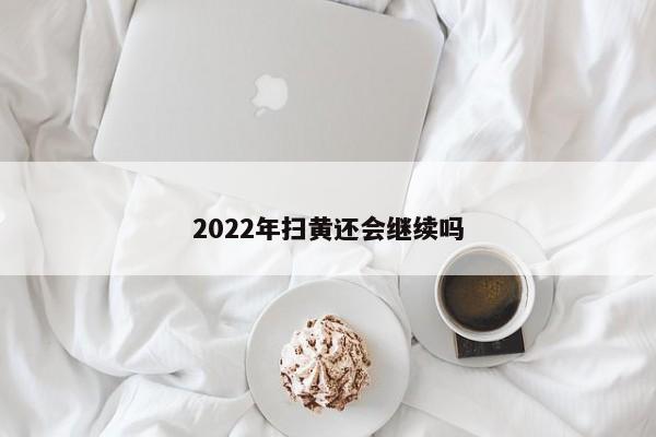 2022年扫黄还会继续吗