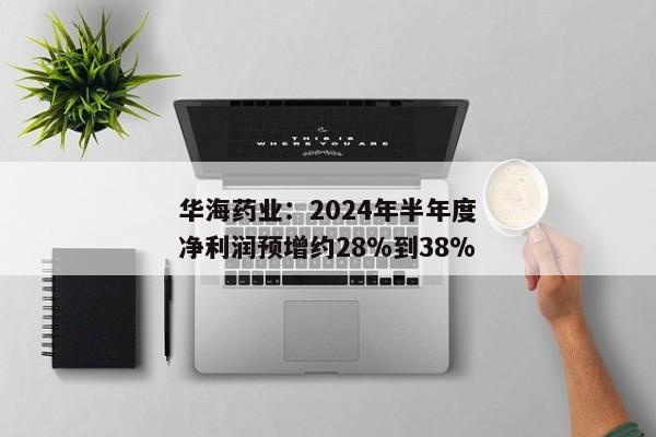 华海药业：2024年半年度净利润预增约28%到38%