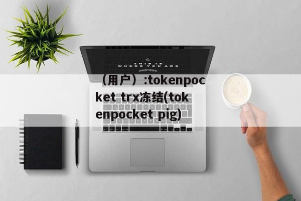 （用户）:tokenpocket trx冻结(tokenpocket pig) 