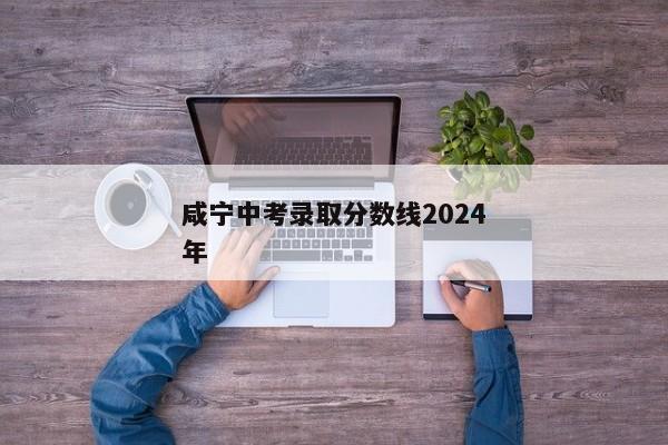 咸宁中考录取分数线2024年